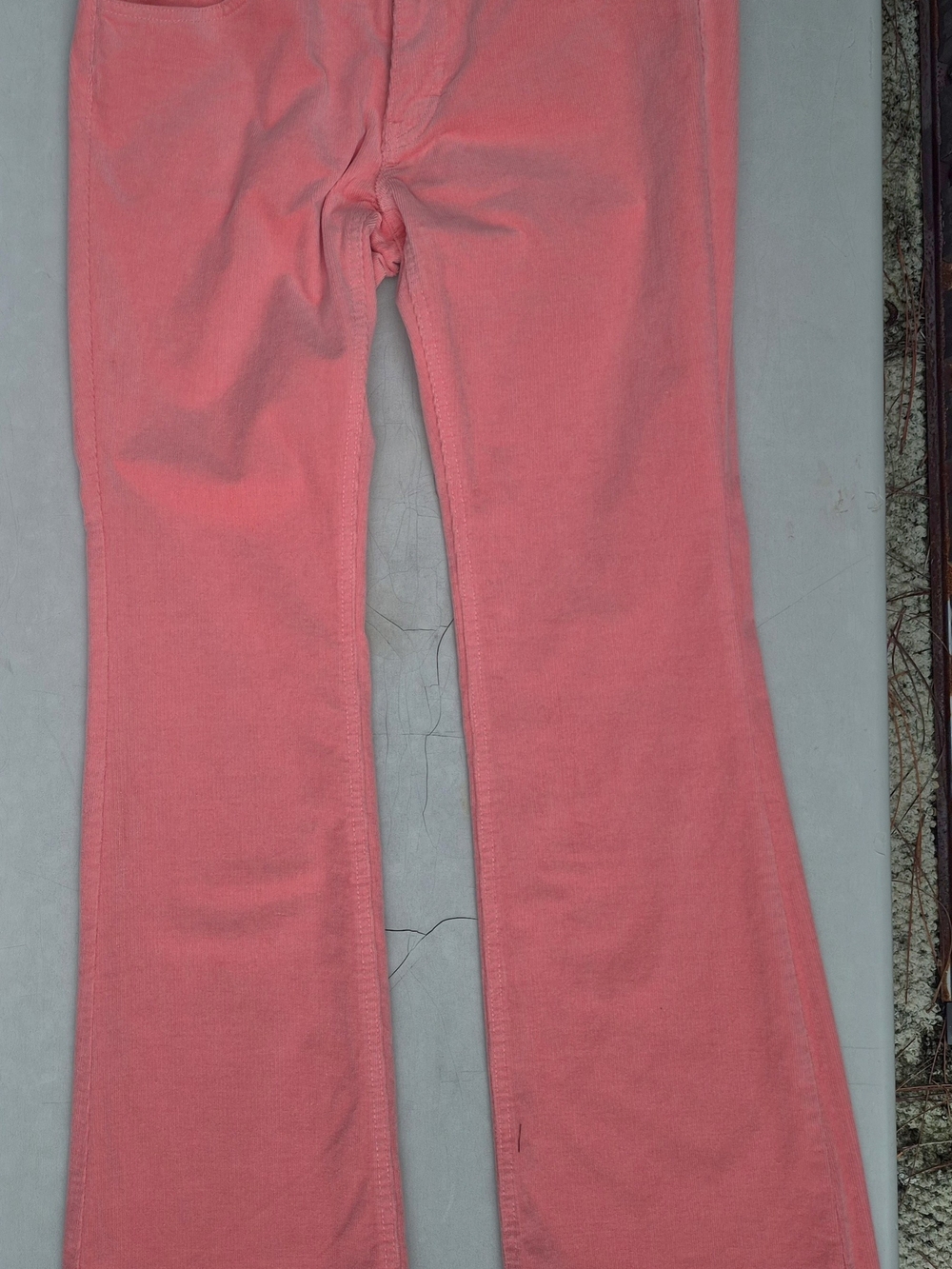 Wild Fable Coral Pink Flare Leg Pinwale Corduroy Jeans